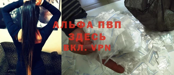 амф Новодвинск