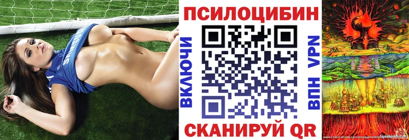 Галлюциногенные грибы Psilocybine cubensis  Купить закладки  Люберцы 